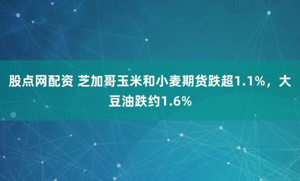 股点网配资 芝加哥玉米和小麦期货跌超1.1%，大豆油跌约1.6%