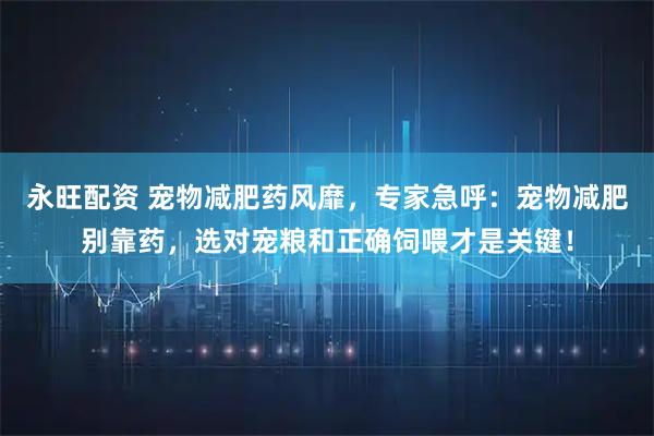 永旺配资 宠物减肥药风靡，专家急呼：宠物减肥别靠药，选对宠粮和正确饲喂才是关键！